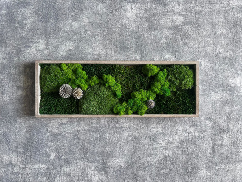 Mechový obraz 40x14cm — foto 2