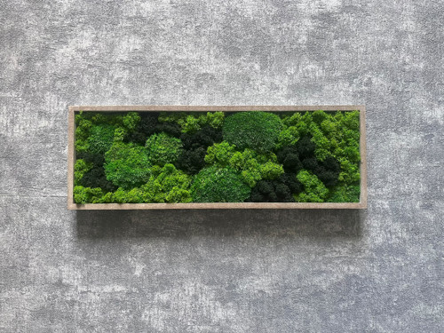 Mechový obraz 40x14cm — foto 2
