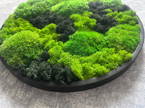 Mechový obraz pr. 30cm — foto 4
