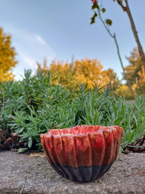 Růžovka — foto 2