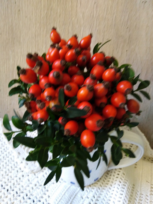 Šípkový pugétek — foto 3