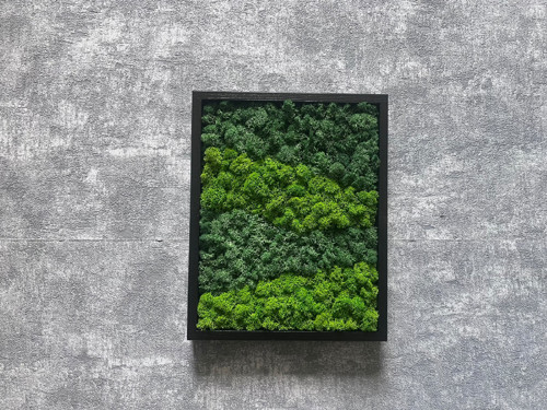 Mechový obraz 25x20cm — foto 2