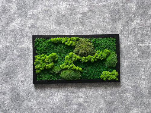 Mechový obraz 45x25cm — foto 2
