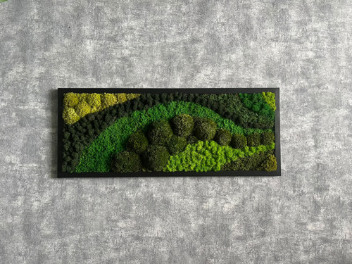 Mechový obraz 75x30cm — foto 2