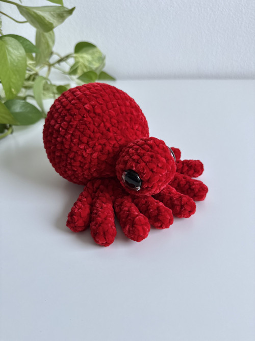 Pavouček Velvet - střední — foto 4