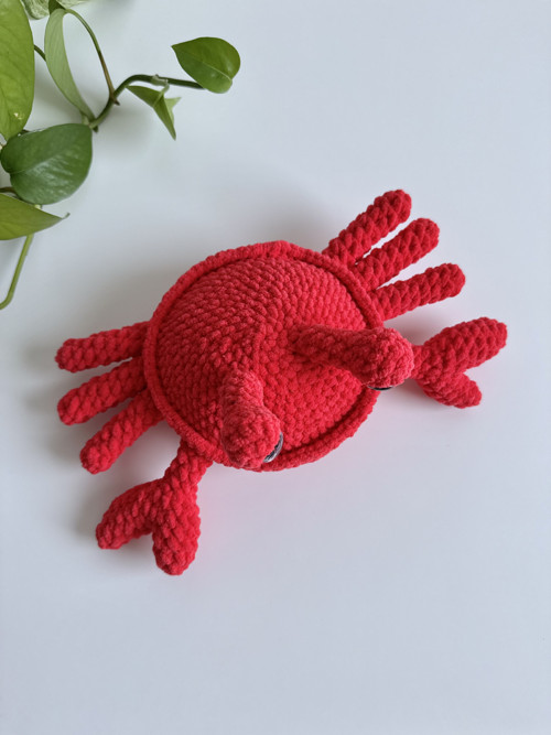 Háčkovaný Krab — foto 3