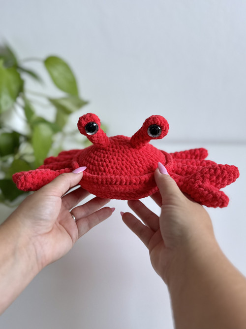 Háčkovaný Krab — foto 4