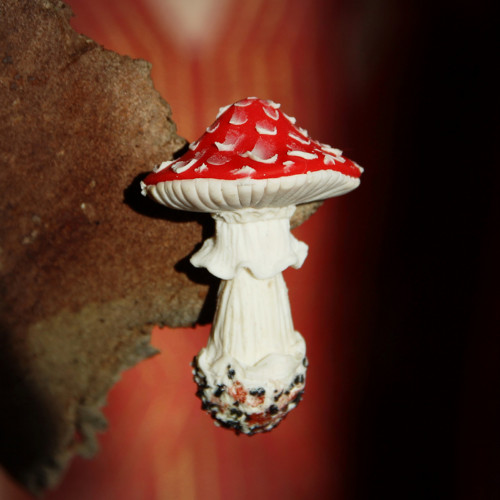 Muchomůrka (brož) — foto 4