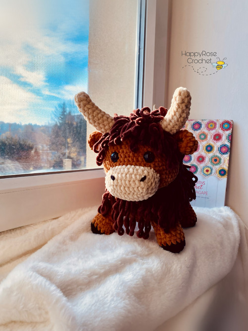 Highlandské krávy — foto 5