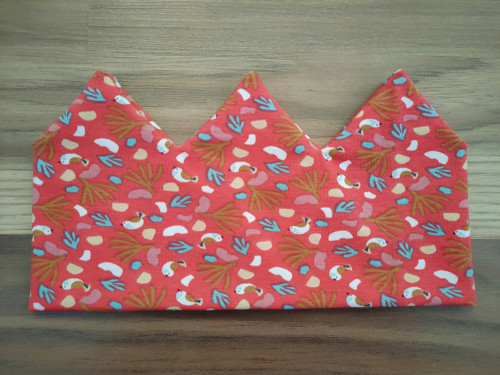 Čelenka korunka - ptáčci — foto 2