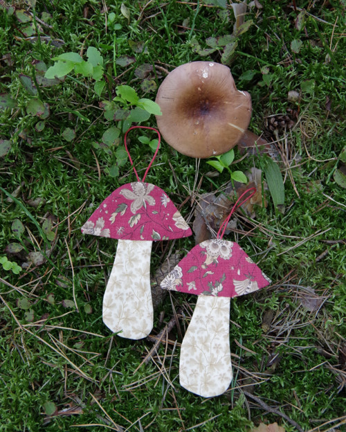 Muchomůrka květinová I — foto 5