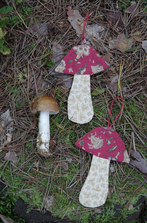 Muchomůrka květinová I — foto 3