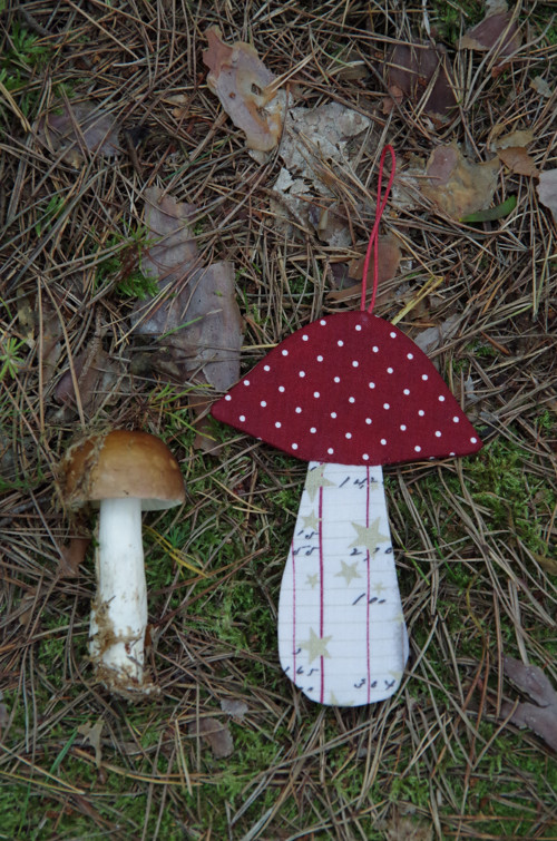 Muchomůrka puntíkatá — foto 5