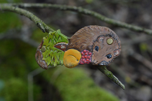 Plšík lískový — foto 2