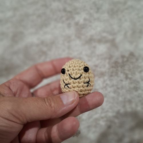 Háčkovaná brambůrka — foto 5