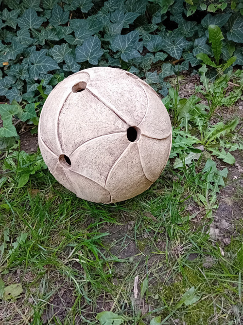 Koule prořezávaná — foto 4