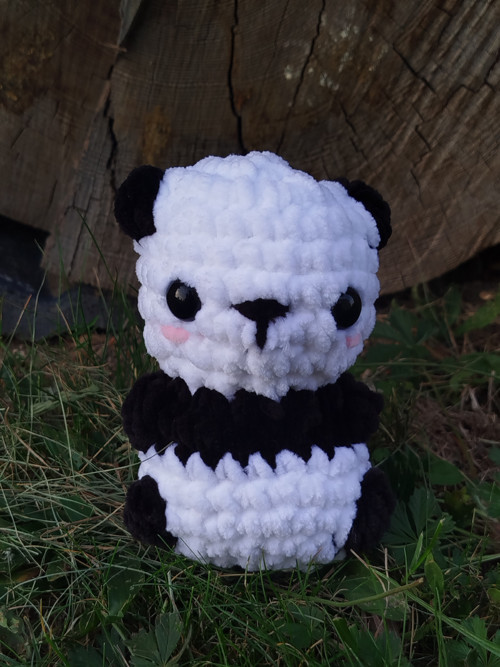 Panda — foto 2