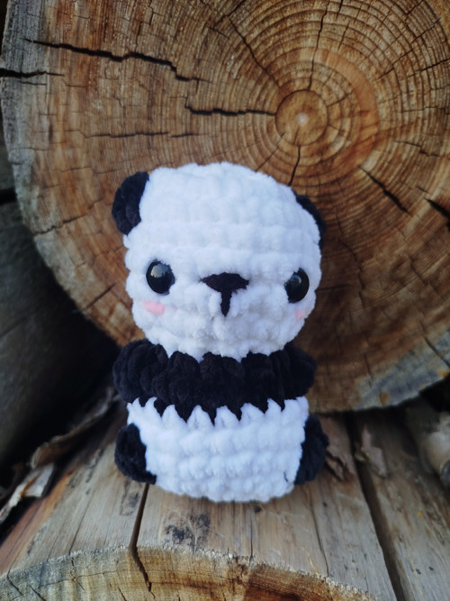 Panda — foto 3