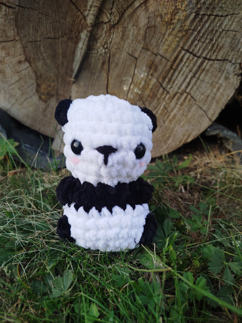 Panda — foto 4