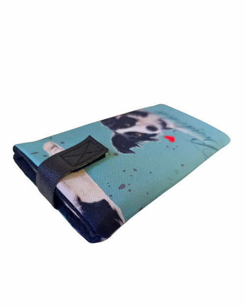 Border kolie — foto 2
