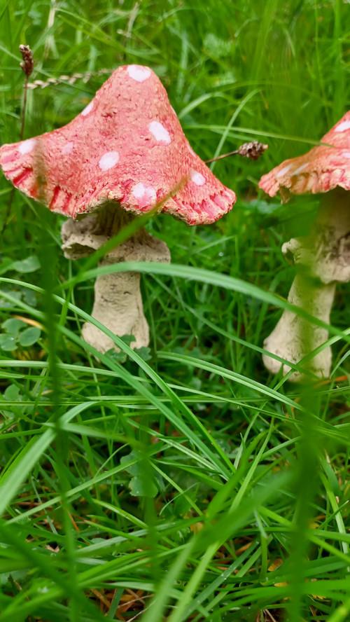 Mochomůrky z keramiky — foto 3