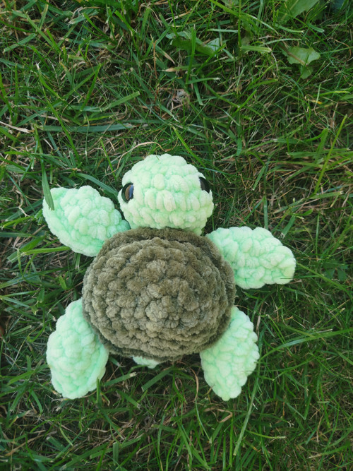 Želvička — foto 2