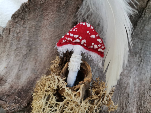 Muchomůrka červená — foto 3