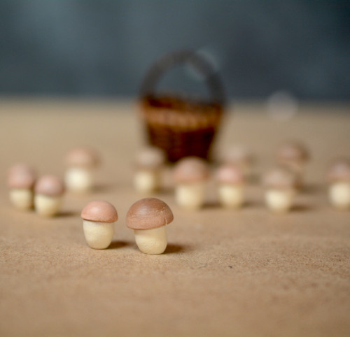Miniatura/Hříbek — foto 4