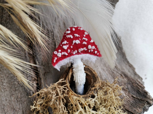 Muchomůrka červená — foto 2