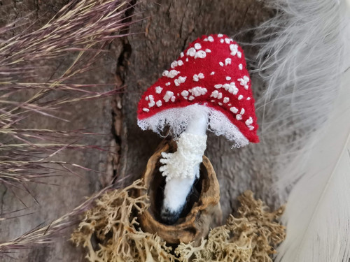 Muchomůrka červená — foto 2