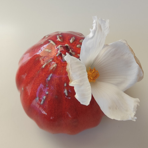Dýňová vázička — foto 2