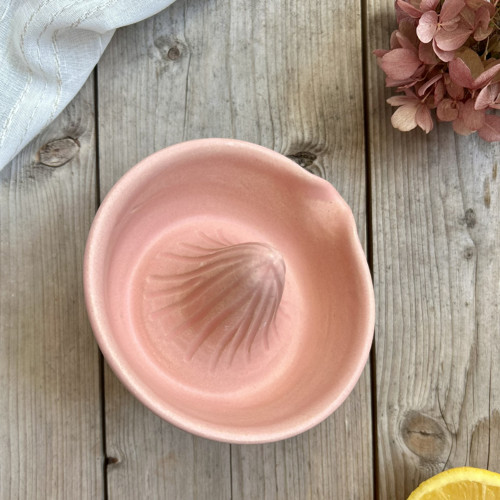Odšťavňovač RoseSatin — foto 3