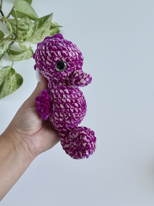 Mořský koník Velvet — foto 6