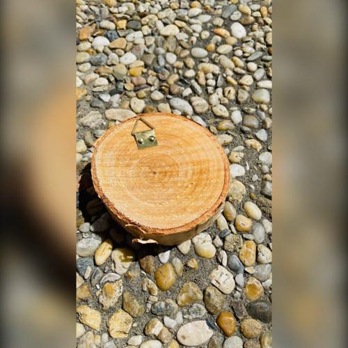 Vypalovaný obrázek - Prostě liška — foto 5