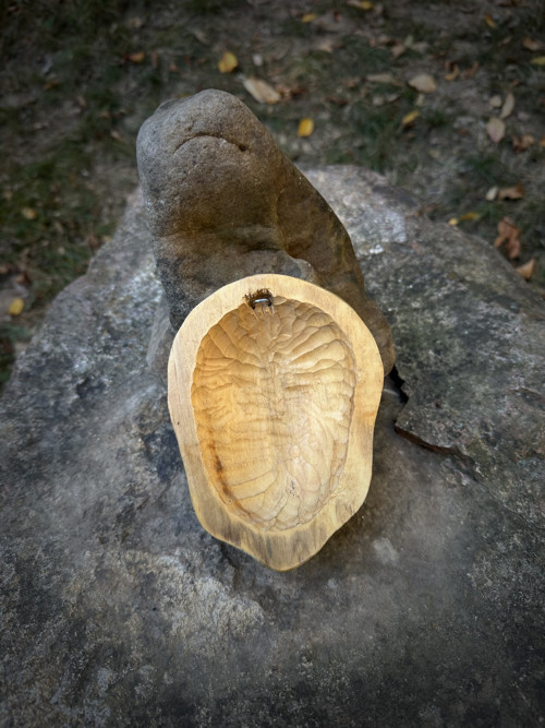 Šklebáci | pan Dmejchal — foto 4