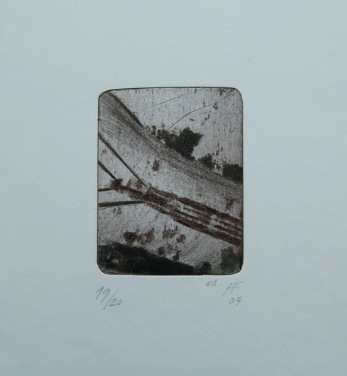 Brouk žárovkový — foto 2