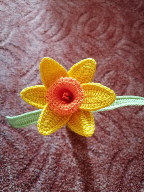 Narcisky — foto 2