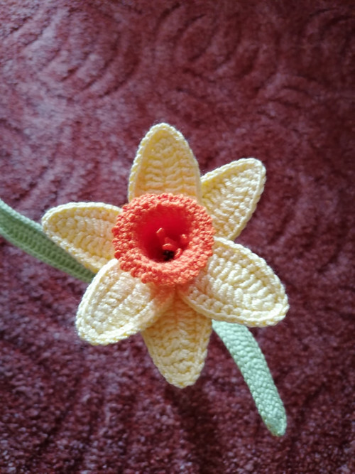 Narcisky — foto 5