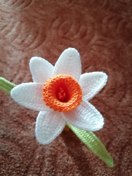 Narcisky — foto 6