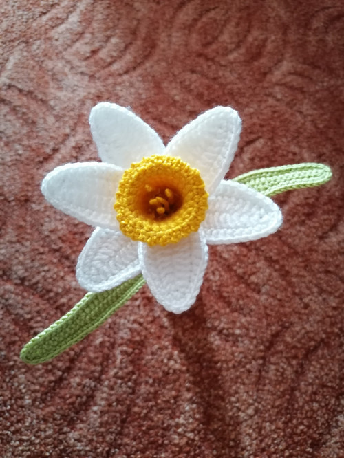 Narcisky — foto 4