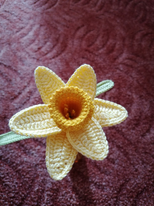 Narcisky — foto 3