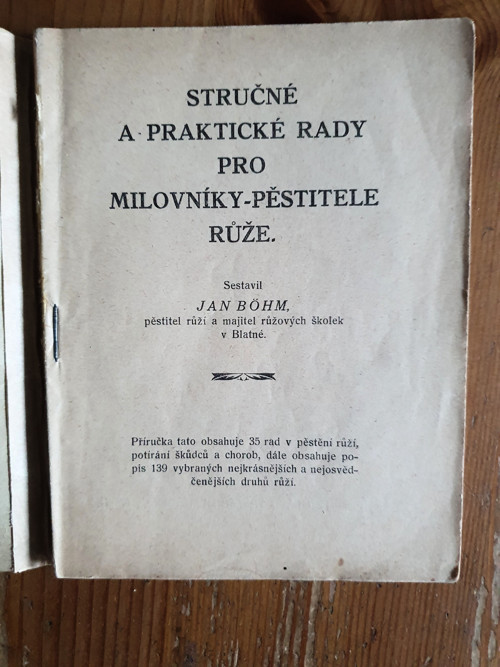 Růže — foto 2