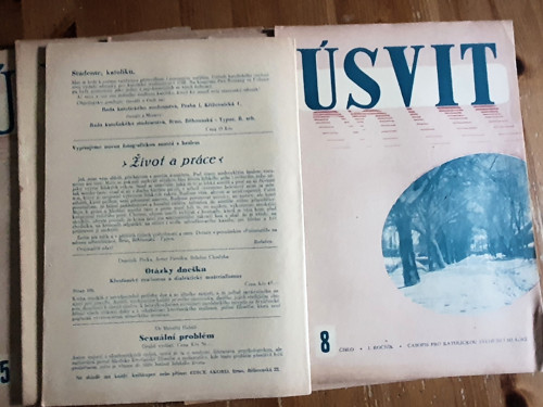 Úsvit — foto 3