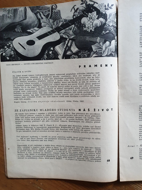 Jitro — foto 2