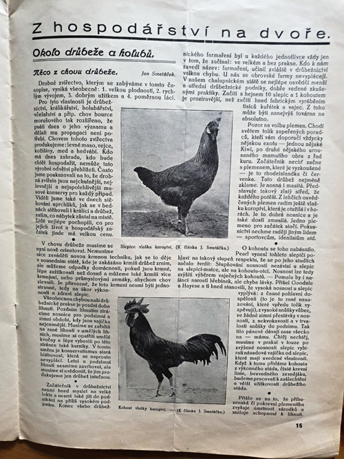 Praktický rádce — foto 3