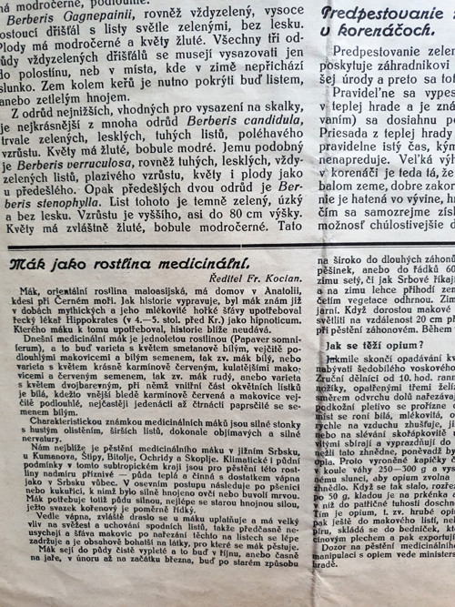 Praktický rádce — foto 4
