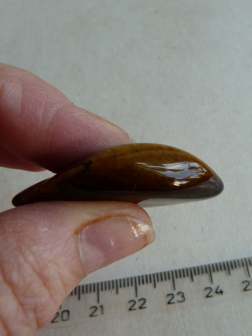 Tygří oko - 4,1 cm - Extra! — foto 3