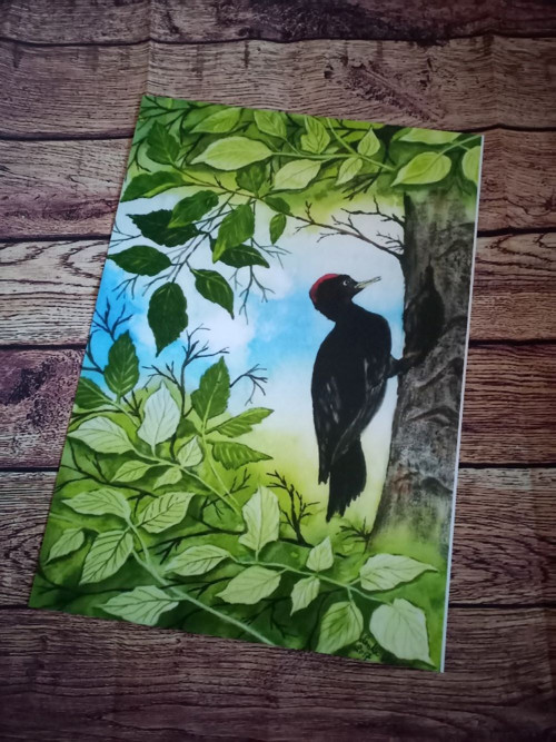 Obraz Datel (reprodukce) — foto 2