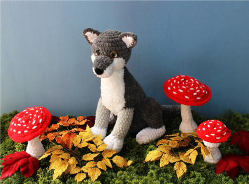 Šedý vlk — foto 4