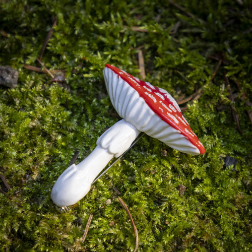 Brož - muchomůrka červená — foto 3